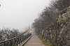 8604.jpg 8604.jpg