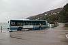 8781.jpg 8781.jpg