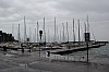 8782.jpg 8782.jpg