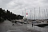 8783.jpg 8783.jpg