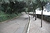 8915.jpg 8915.jpg