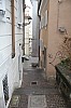9139.jpg 9139.jpg