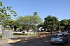 19280.jpg 19280.jpg