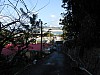 18798.jpg 18798.jpg