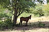 20015.jpg 20015.jpg