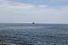 20029.jpg 20029.jpg