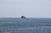 20032.jpg 20032.jpg