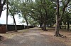 20048.jpg 20048.jpg