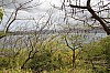 20058.jpg 20058.jpg