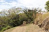 20061.jpg 20061.jpg