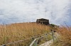 20067.jpg 20067.jpg