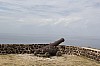 20074.jpg 20074.jpg