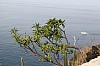 20080.jpg 20080.jpg