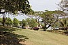 20110.jpg 20110.jpg