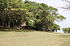 20111.jpg 20111.jpg