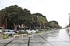 0233.jpg 0233.jpg