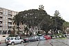 0238.jpg 0238.jpg