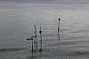 0241.jpg 0241.jpg