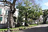 0287.jpg 0287.jpg