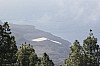1785.jpg 1785.jpg