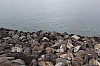 2362.jpg 2362.jpg