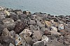 2363.jpg 2363.jpg