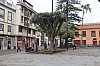 2397.jpg 2397.jpg