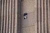 2755.jpg 2755.jpg