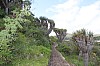 3091.jpg 3091.jpg