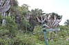3093.jpg 3093.jpg
