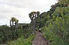 3095.jpg 3095.jpg