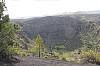 3139.jpg 3139.jpg