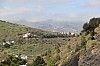 3141.jpg 3141.jpg