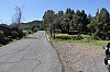 3155.jpg 3155.jpg