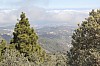 3157.jpg 3157.jpg