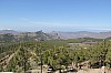 3171.jpg 3171.jpg