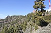3205.jpg 3205.jpg