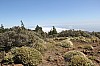 3207.jpg 3207.jpg