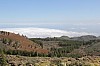 3223.jpg 3223.jpg
