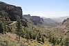 3307.jpg 3307.jpg