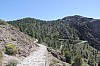 3310.jpg 3310.jpg