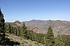3325.jpg 3325.jpg