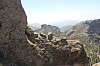 3371.jpg 3371.jpg