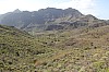 3507.jpg 3507.jpg