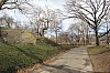 3621.jpg 3621.jpg