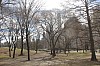 3626.jpg 3626.jpg