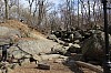 3731.jpg 3731.jpg