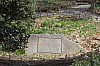 3757.jpg 3757.jpg