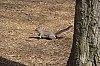 3782.jpg 3782.jpg