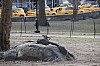 3881.jpg 3881.jpg